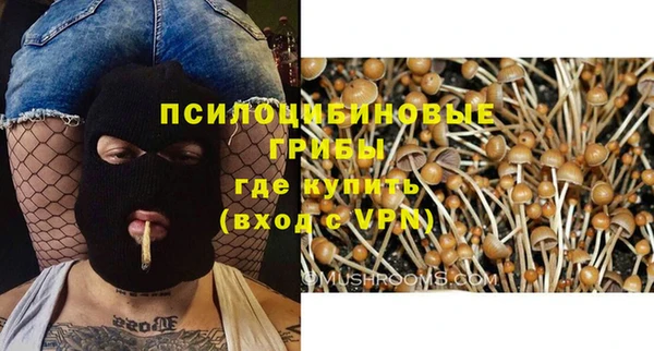 дживик Семёнов