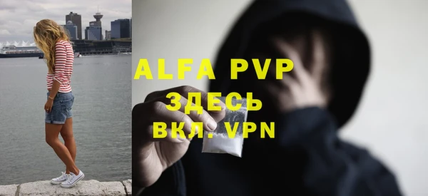 хмурый Семилуки