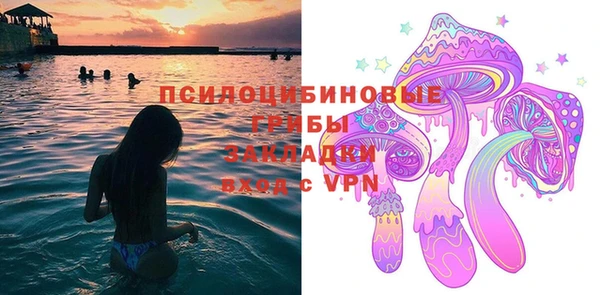 хмурый Семилуки