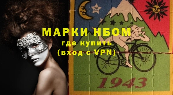хмурый Семилуки