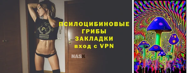 хмурый Семилуки